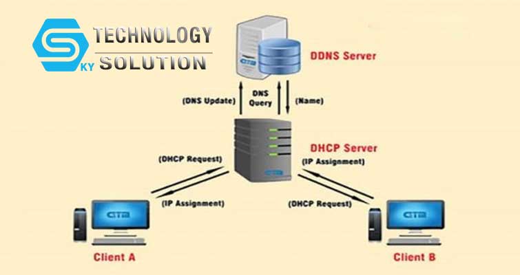 dynamic-dns-la-gi-skytech.company-2
