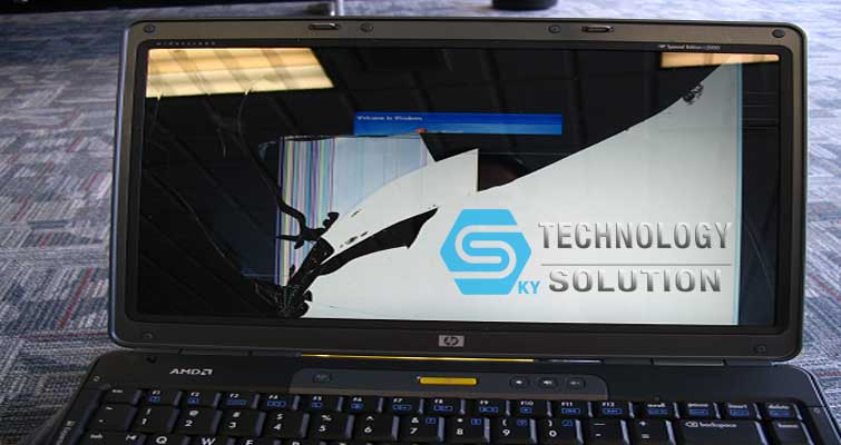 cua-hang-sua-chua-may-tinh-tai-nha-gia-re-va-chat-luong-quan-hai-chau-skytech.company-1