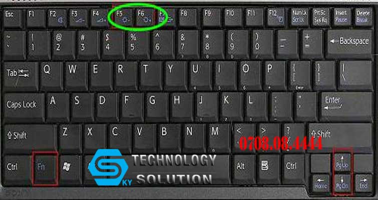 trung-tam-mua-ban-pin-laptop-quan-lien-chieu-skytech.company-1