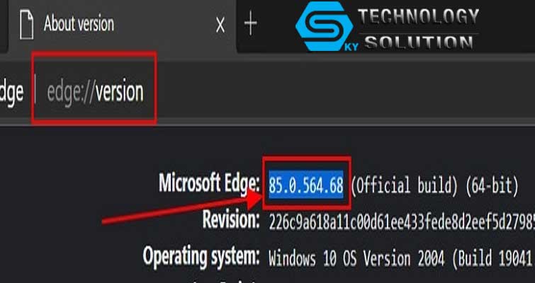 cach-go-bo-edge-chromium-tren-windows-10-bang-cmd-powershell-skytech.company-3