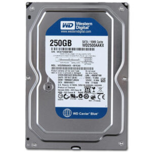 o-cung-western-digital-caviar-blue-250gb-skytech.company-1
