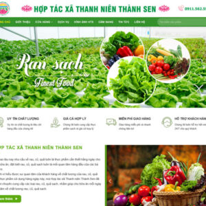 mau-thiet-ke-website-ban-rau-sach-1