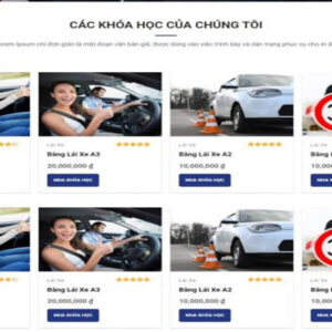 mau-thiet-ke-website-day-hoc-lai-xe-oto-1
