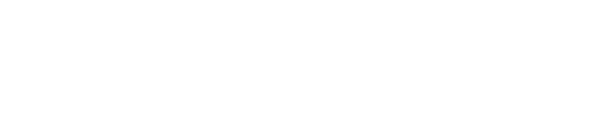 logo-skytech-skytech.company-3